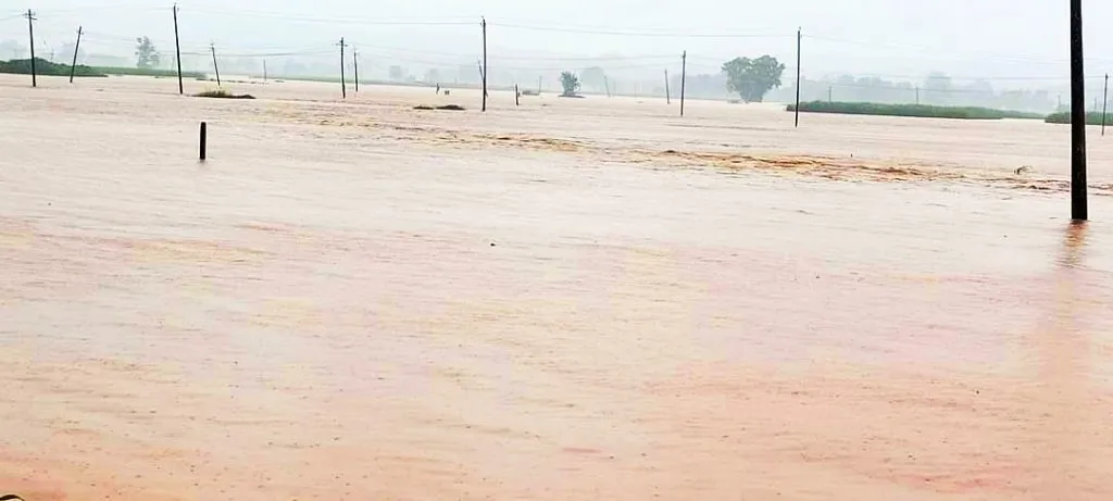 Thousands of acres of agricultural land in Hindalga, Ambewadi under water