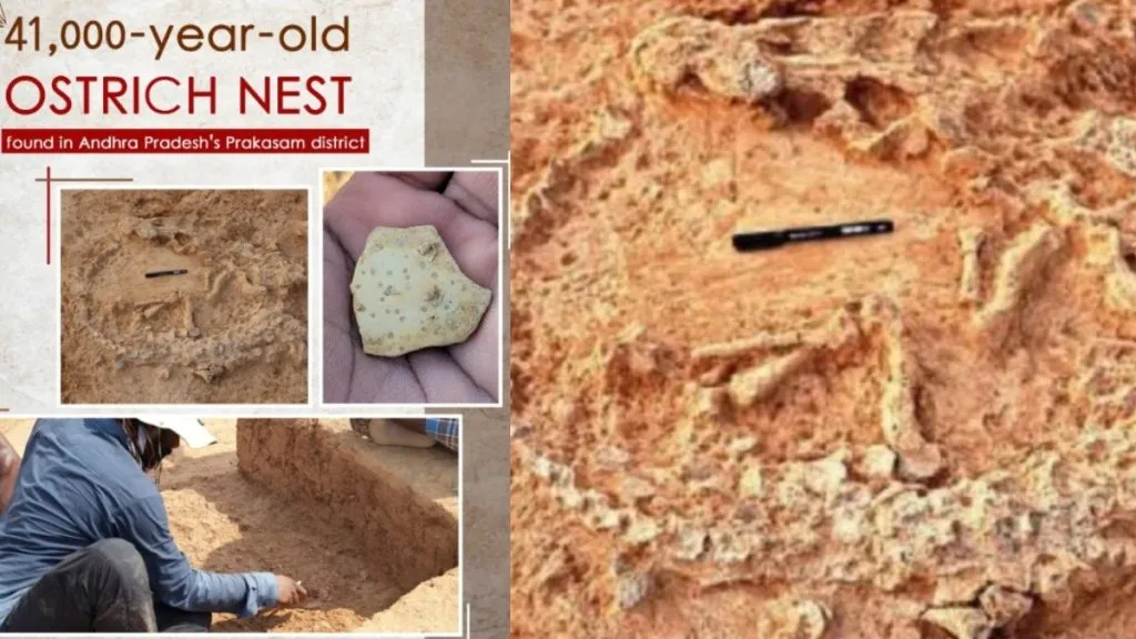 आंध्रप्रदेशात मिळालं शहामृगाचे प्राचीन घरटं Ancient ostrich nest found in Andhra Pradesh