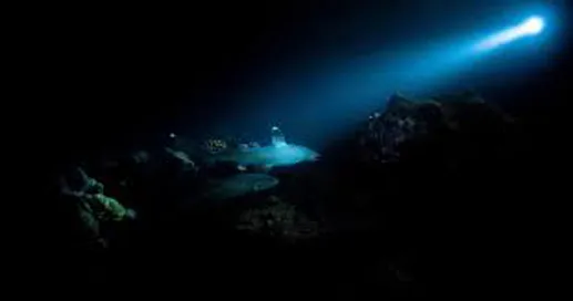 खोल समुद्रात ‘डार्क ऑक्सिजन’चा शोध Discovery of 'dark oxygen' in the deep sea