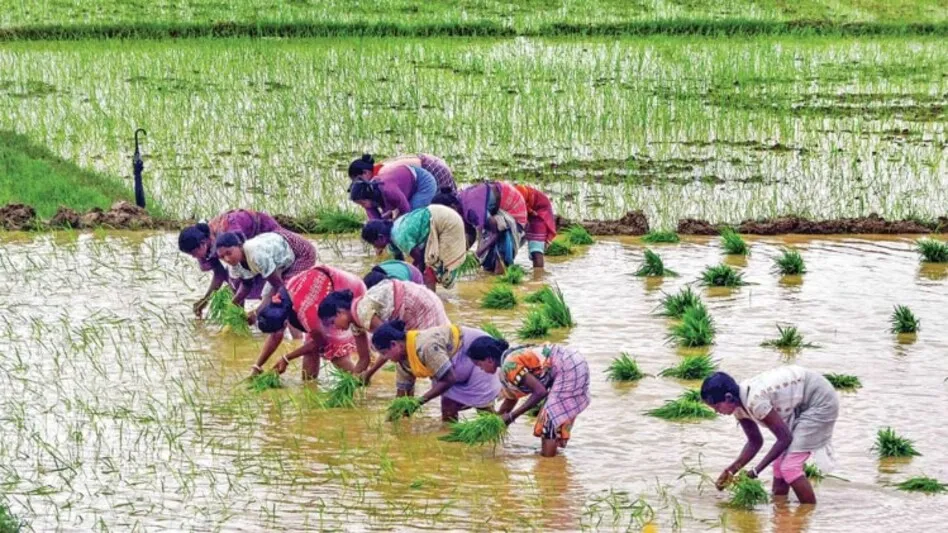 Nine list budget for development of farmers, women, poor