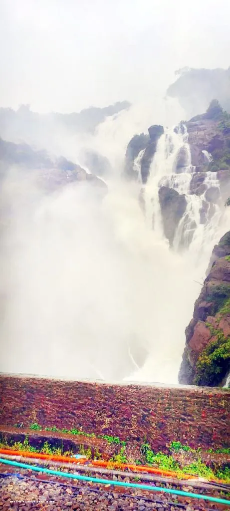 Tourists have to see the Dudhsagar waterfall only from the running train