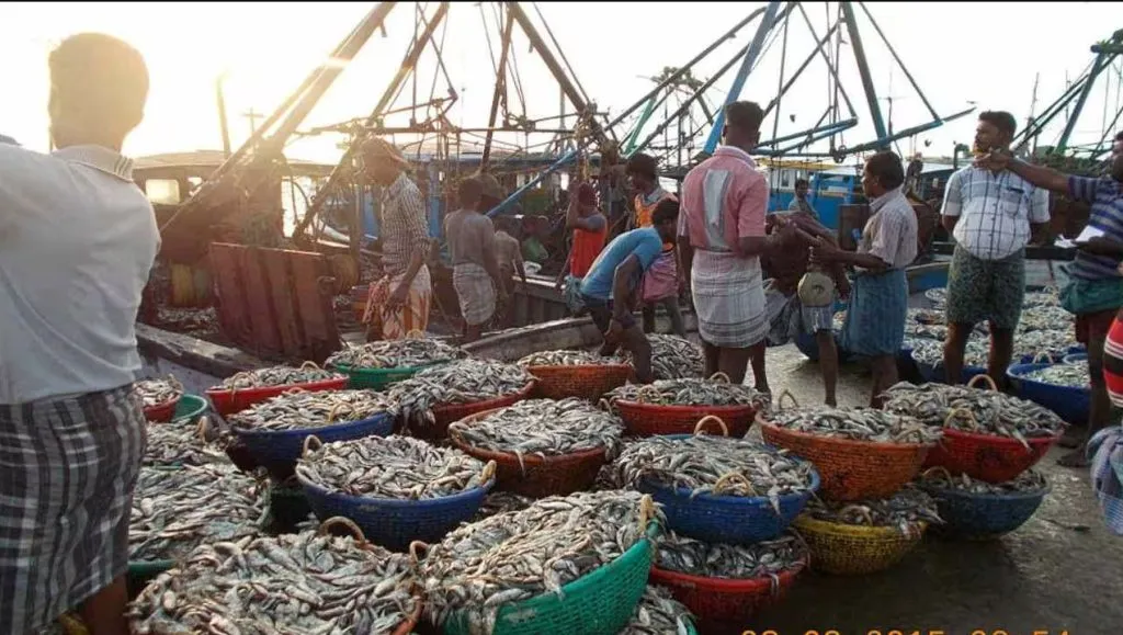 No fish policy that kills the last fish!