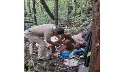 विदेशी महिलेला जंगलात चक्क साखळदंडाने बांधले