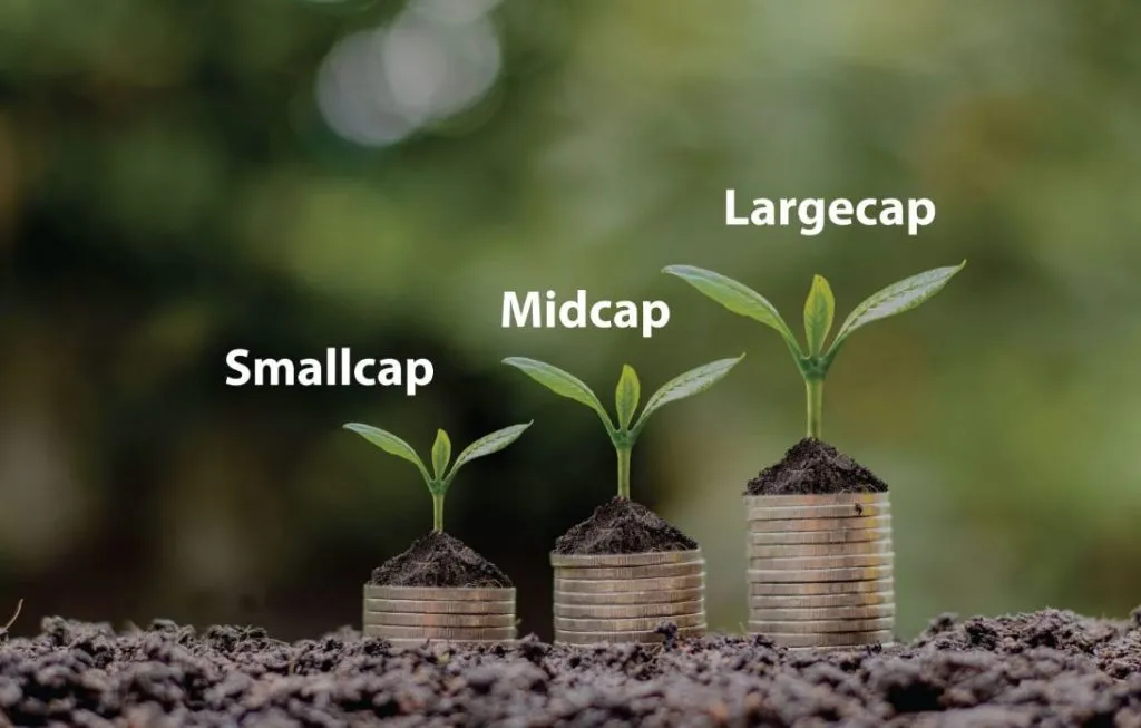 Largecap, midcap market capital limit increased