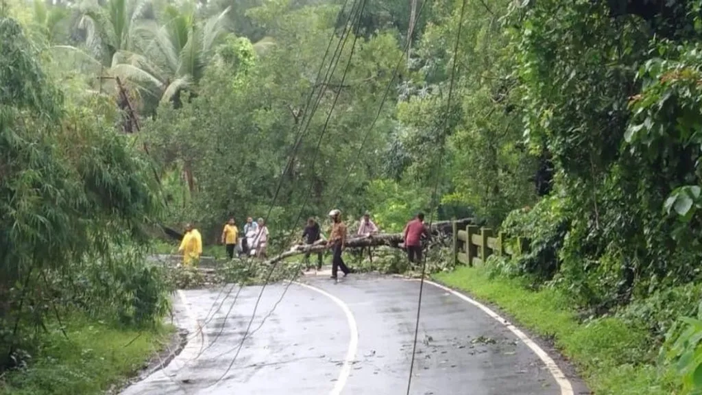 वादळी पावसामुळे नेमळे तिठ्यावर कोसळले झाड
