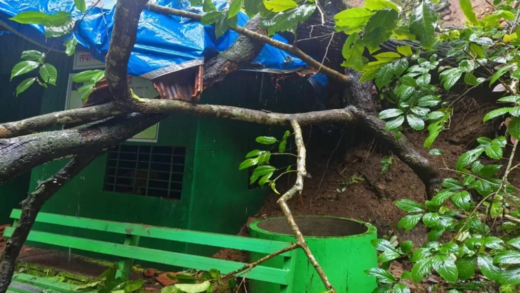 सावंतवाडी वन विभागाच्या चौकीवर झाड कोसळून कर्मचारी जखमी
