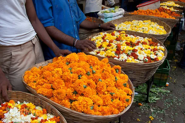 Eight tons of flowers arrived for Shravana