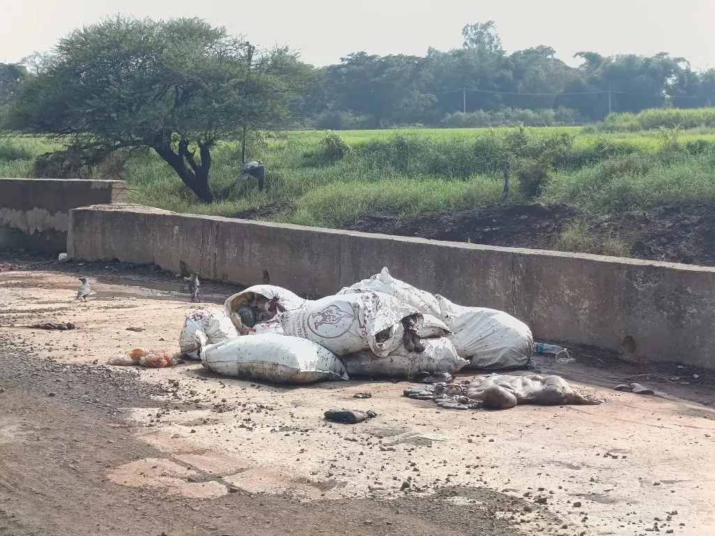 Anger over the dumping of slaughterhouse waste organs on the Markandey river bridge