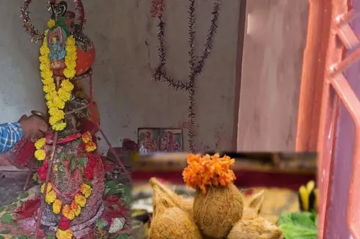 A coconut bursts automatically...