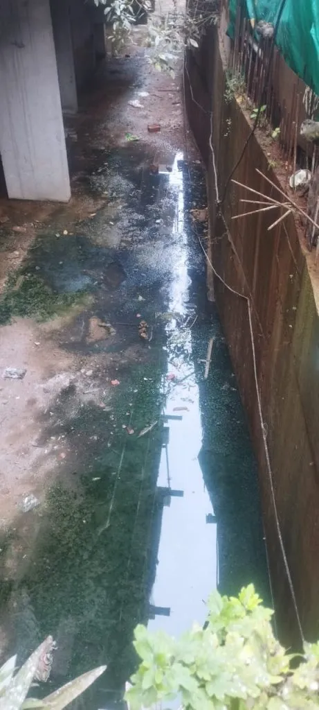 Mosquito infestation in Nanawadi area