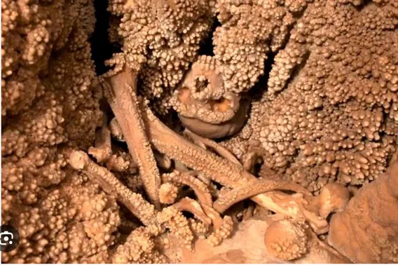 The mystery of Altamura is still unsolved