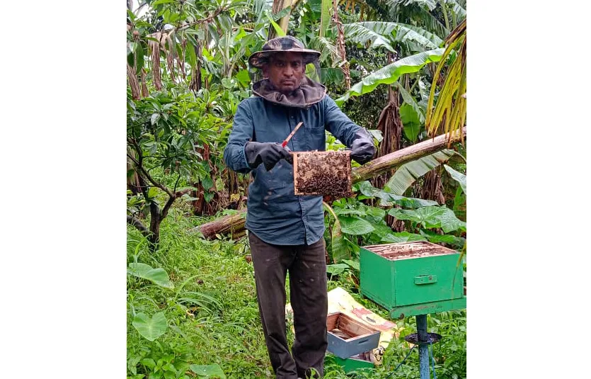 Jamboti farmer's struggle for bee conservation