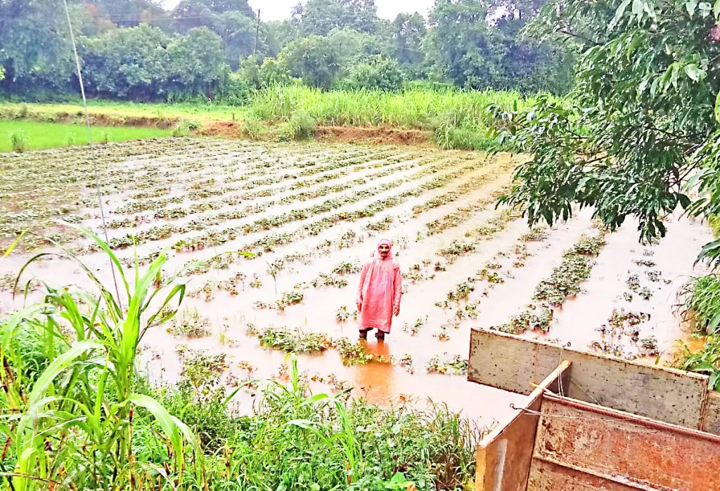 Water accumulated in Shiwar near Belaguni-Sonoli Bridge