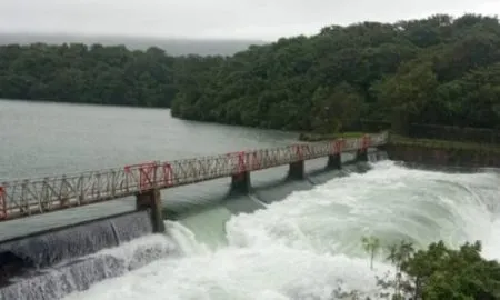 gates of Radhanagari open Heavy rain forecast