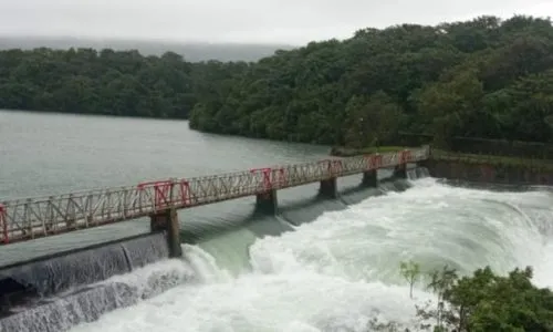 gates of Radhanagari open Heavy rain forecast