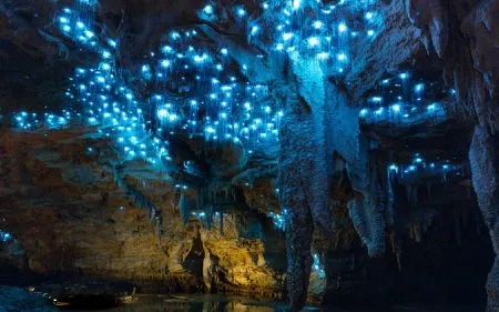 A cave that glows with special mosquitoes