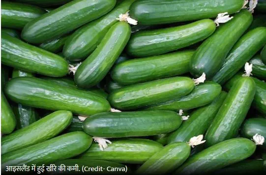 The country has become 'cucumber crazy'