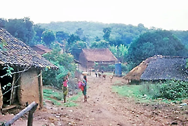 Separate justice for Dandeli-Joydya; Why migration to Khanapur?