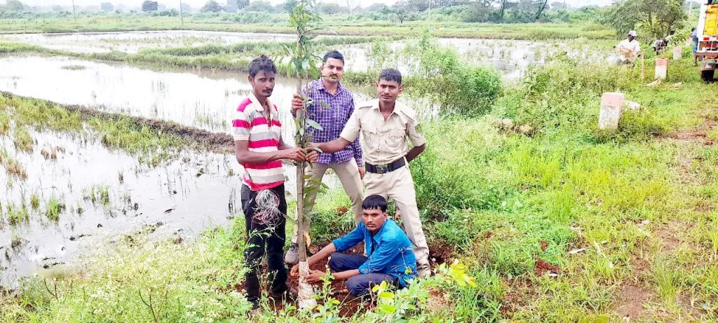 जुने बेळगाव-धामणे रस्त्याच्या दुतर्फा वनविभागातर्फे वृक्षारोपण Plantation of trees by forest department on both sides of the road