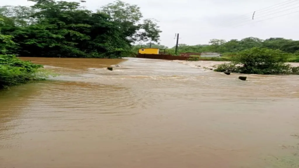 न्हावेली पूल पाण्याखाली : अनेक गावांचा संपर्क तुटला