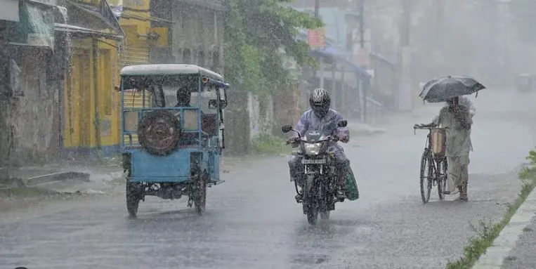 शनिवारी पावसाने पुन्हा झोडपले It rained again on Saturday