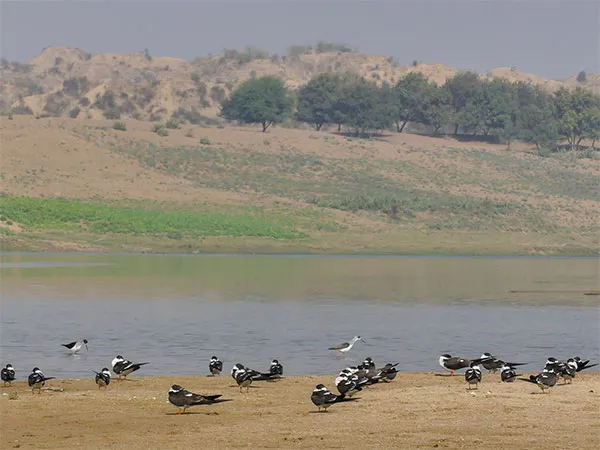 The only river in India that flows through a desert