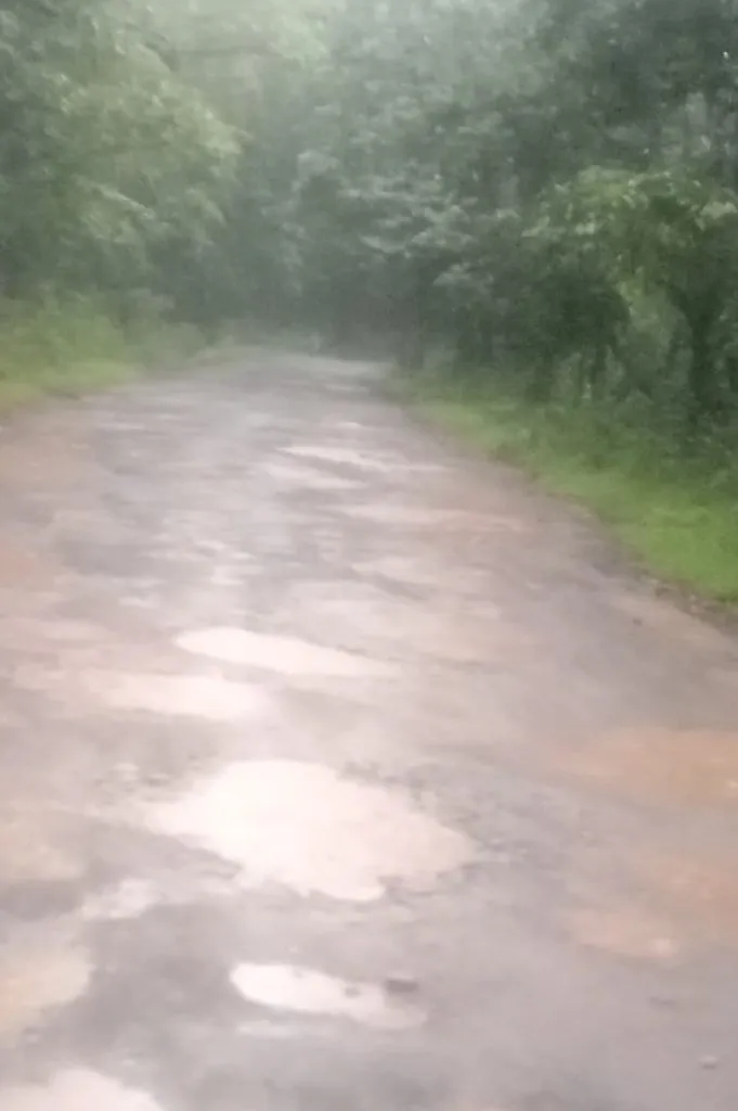 Make Khanapur-Hemmadaga road smooth for traffic