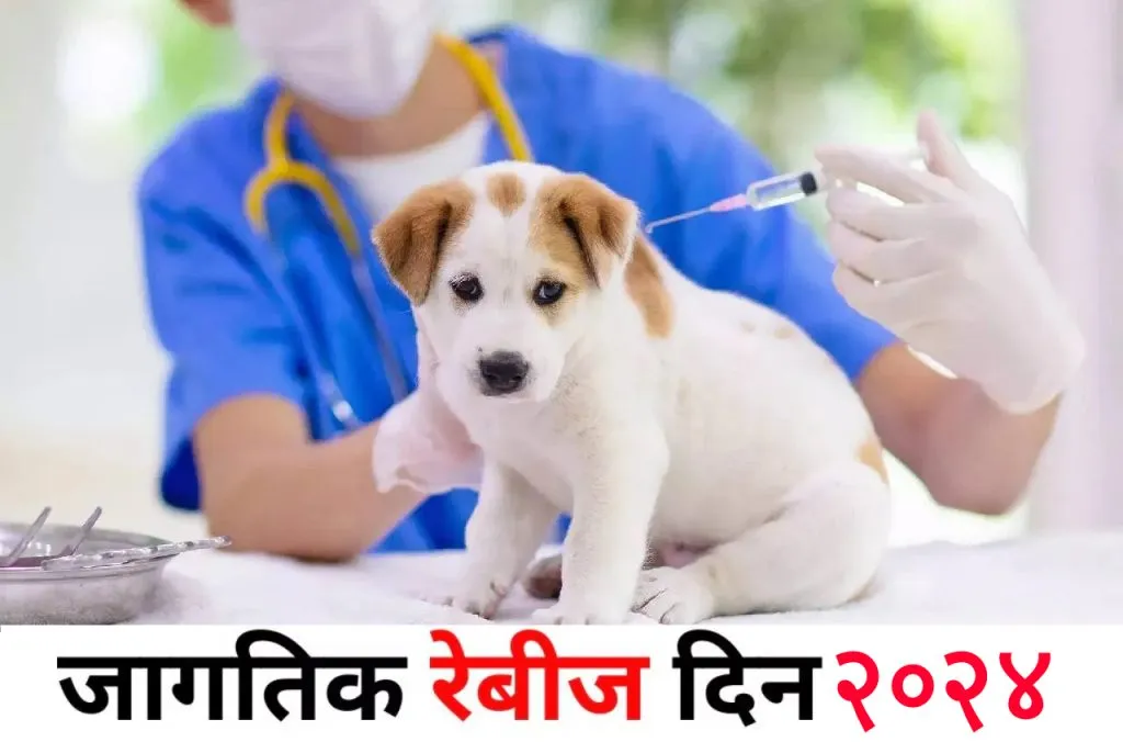 Monthly vaccination of dogs for rabies control