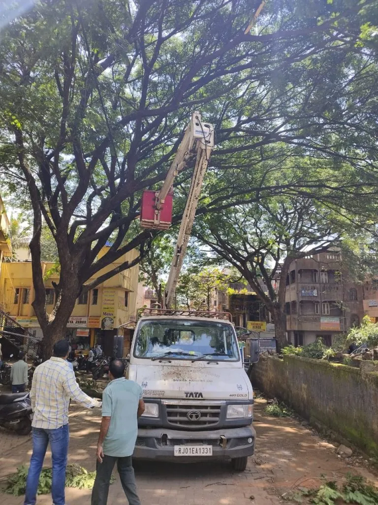 विसर्जन मार्गातील फांद्या हटविल्या Tree Branches removed on Immersion road