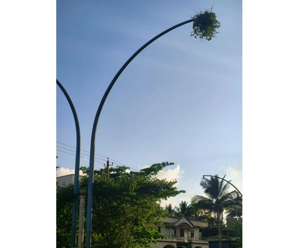Municipality's neglect of street lights