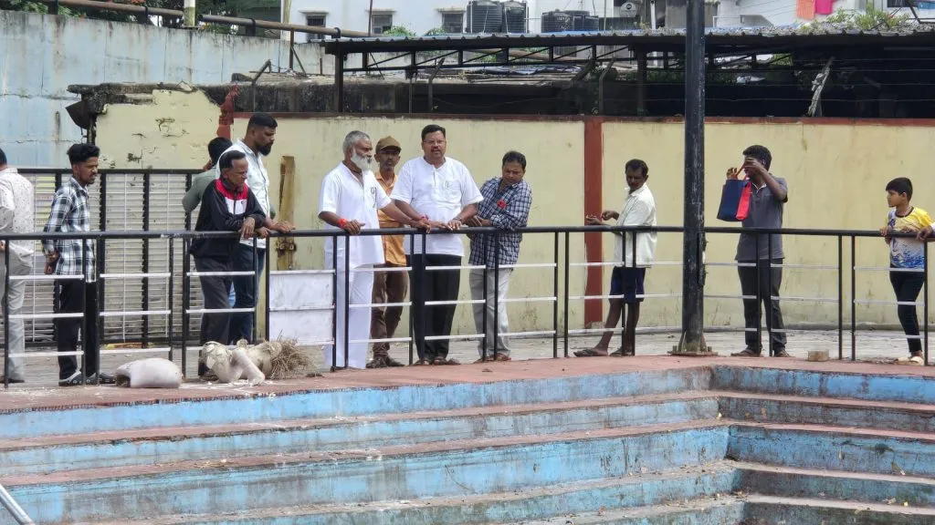 A review of the cleanliness of the immersion pond by the Corporation