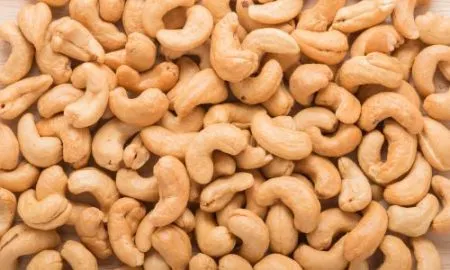 Cashew seed grant scheme