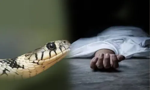 snakebite Incident at Chandor
