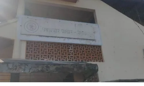 मलकापूर कृषी उत्पन्न बाजार समितीच्या माध्यमातून आजपासून रताळी विक्री सौदे प्रारंभ Malkapur Agricultural Produce Market Committee