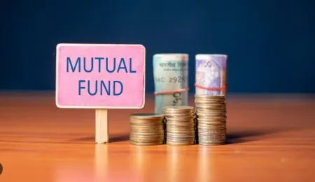 Increasing trend of investors in safe funds