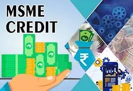 The new MSME credit assessment model will be introduced by March 2025