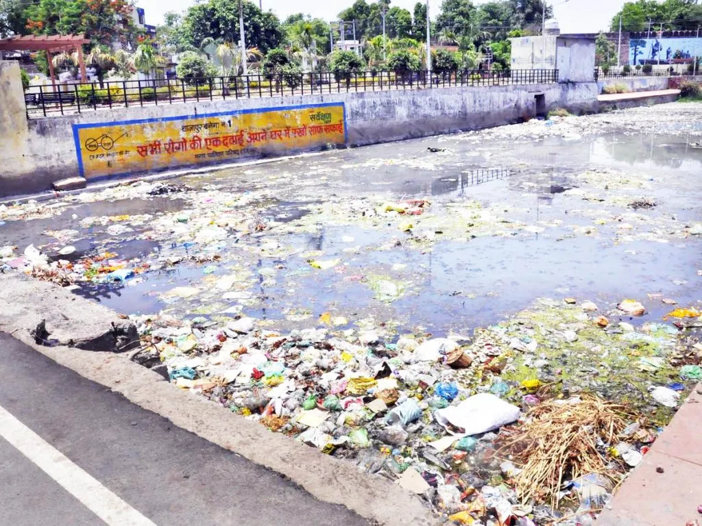 The question of Nirmalya in Ganeshotsav is on the air