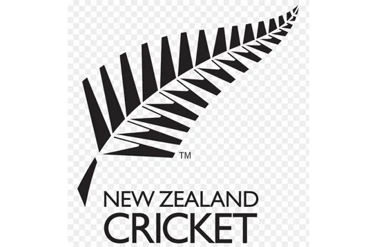 Cricket New Zealand's 20-man central contract