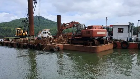 Search operation started again in Gangavali river