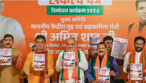 BJP's 'promise' for Jammu and Kashmir