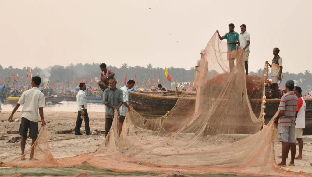 Will fish drought be announced in Ratnagiri-Sindhudurga?