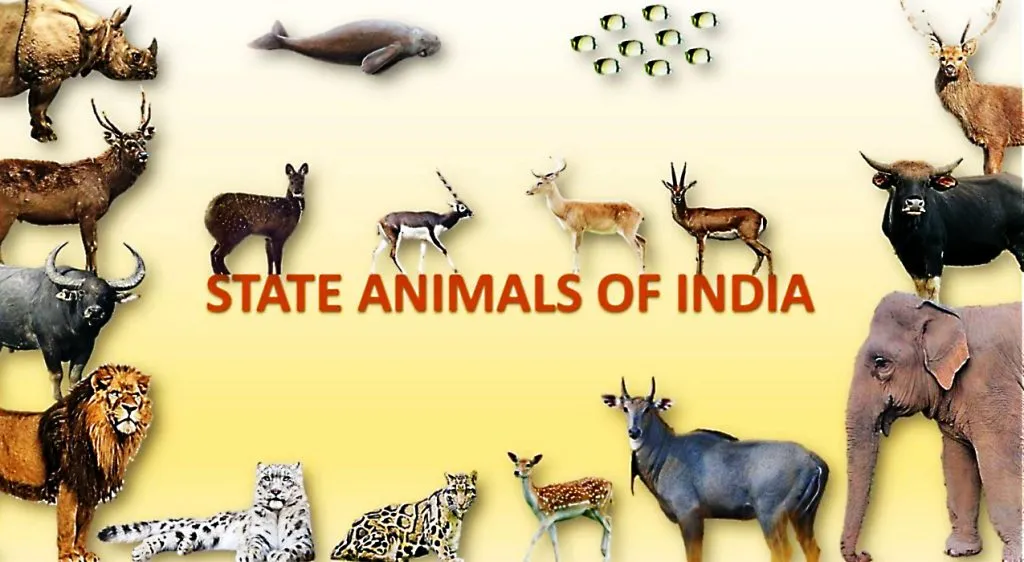 माणूस नावाचा प्राणी An animal called man