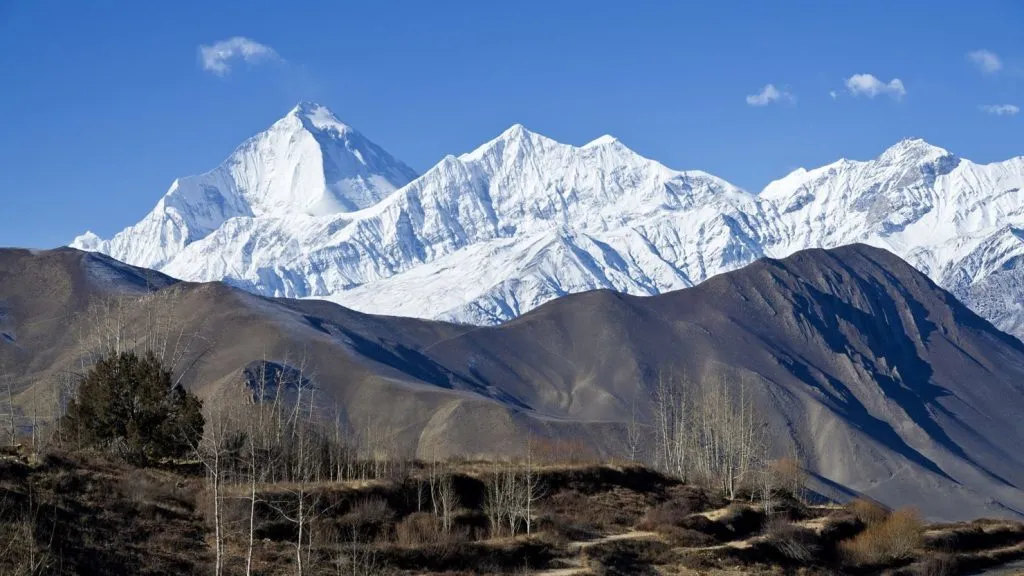 नेपाळमध्ये 5 रशियन गिर्यारोहकांचा मृत्यू 5 Russian climbers die in Nepal