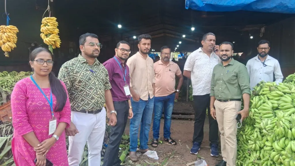 घातक रसायनाने पिकवलेली 9 टन केळी म्हापशात जप्त 9 tons of bananas grown with dangerous chemicals seized in Mhapsha