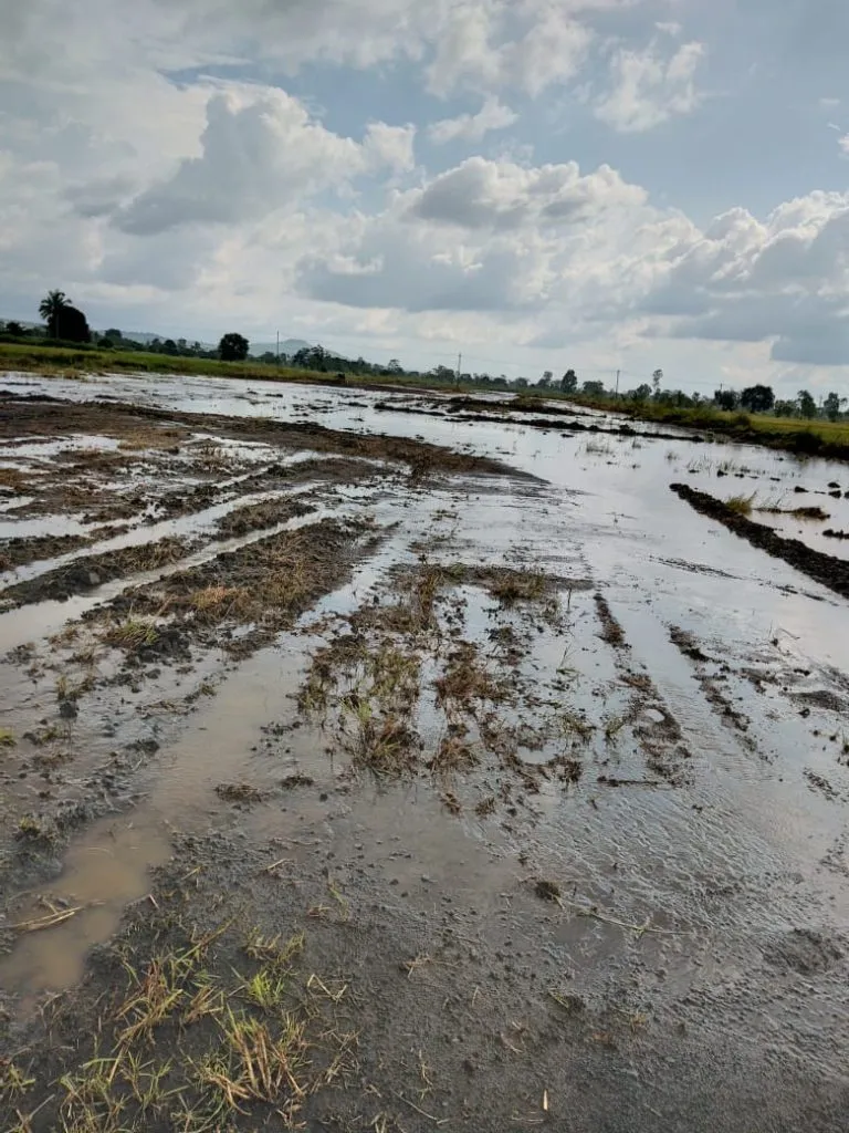 The work of Halga-Machhe bypass was stopped due to rain