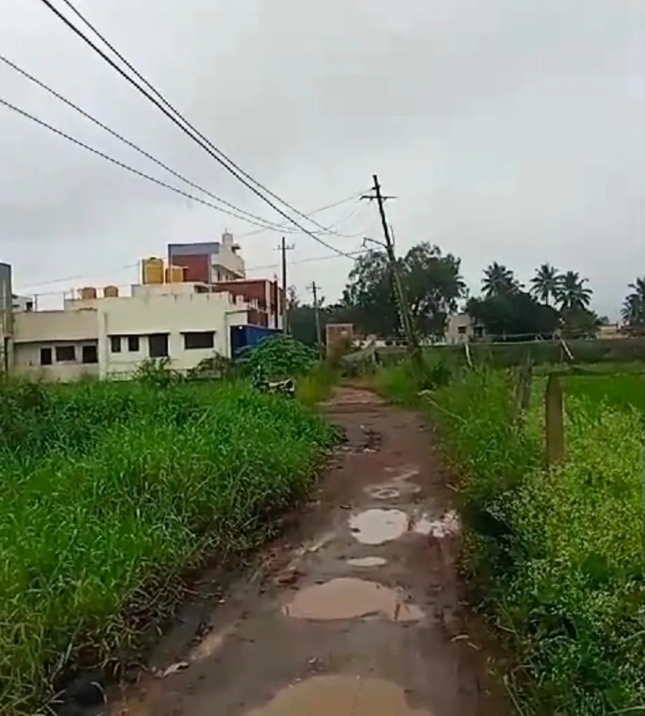 Remove dangerous overhead power lines at Samthargarh