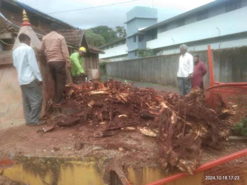 कॅम्प येथील ‘तो’ वृक्ष अखेर हटविला The tree at the camp was finally removed