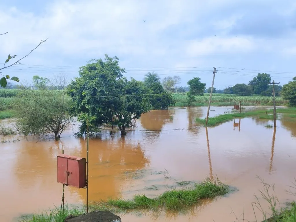Even in October, the Markandeya river is out of bed