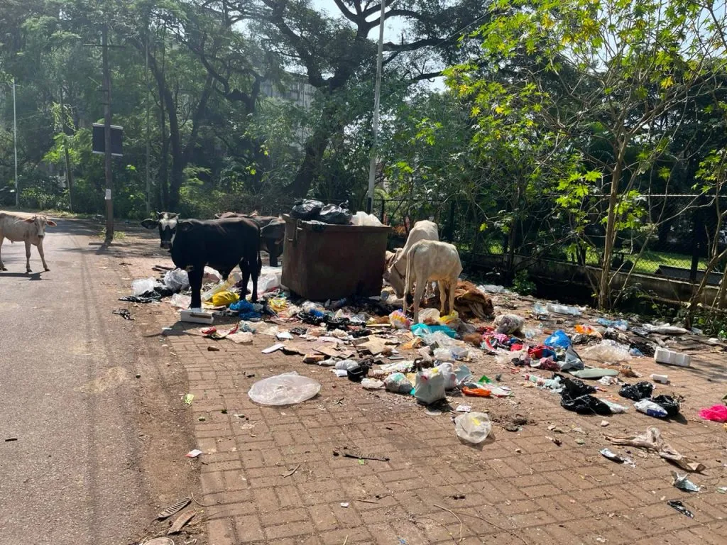 Garbage problem on Savgaon Road