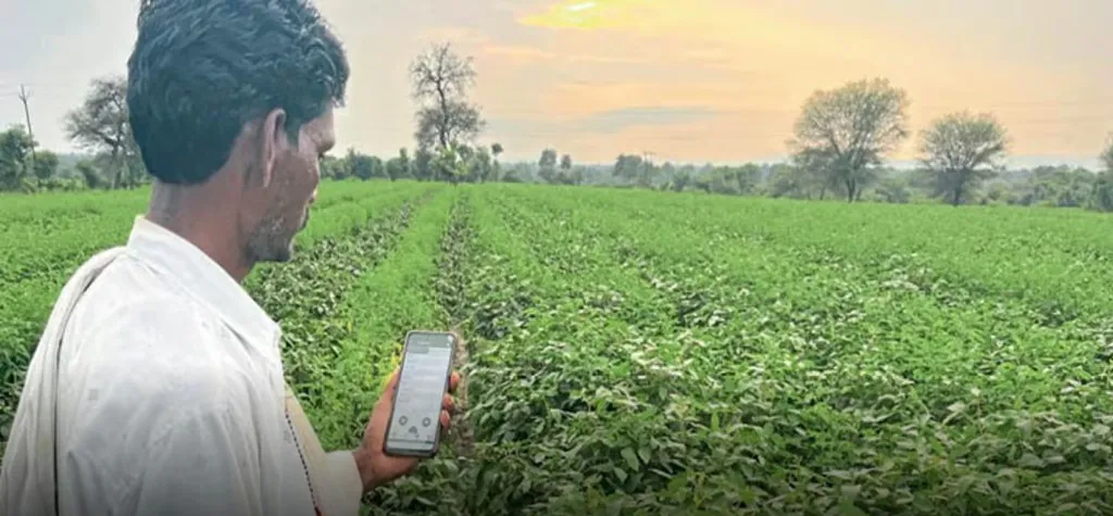 Farmers' response to crop survey